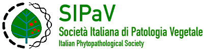 SIPaV Logo