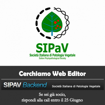 Bando per Incarico Web Editor SIPaV