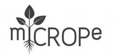 Symposium “Microbe-assisted crop production – opportunities, challenges and needs” (miCROPe 2019), Vienna, Dec 2-5 2019