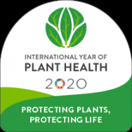 Web Workshop ''Young Scientists for Plant Health''