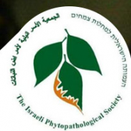 Xylella fastidiosa:support from Israeli Phytopathological Society