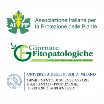 2° Premio di Laurea magistrale Prof.ssa Annamaria Vercesi