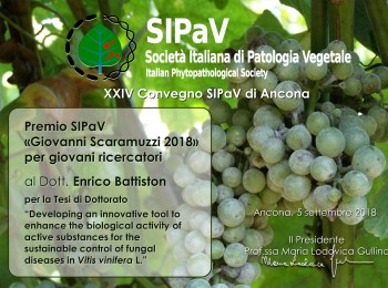 SIPaV Award “Giovanni Scaramuzzi”  2018 to Enrico Battiston