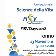 FISV Days 2018 in Torino