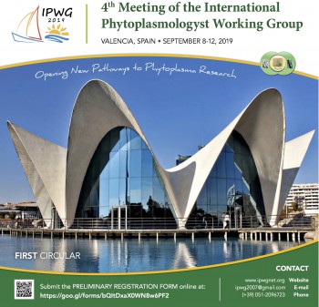 4th Meeting of the International Phytoplasmologist Working Group (IPWG). Valencia (Spain), September 8-12, 2019