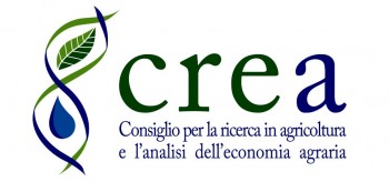 crea iniziative: collection of testimonies in memory of prof. michele stanca