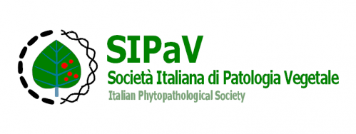 In arrivo: Premio SIPaV 